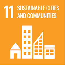 SDG 11