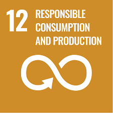 SDG 12