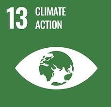 SDG 13