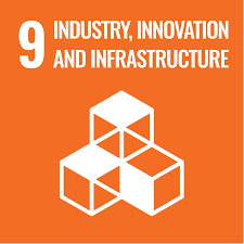 SDG 9